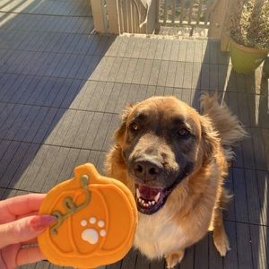 Meet your Posher, Marina